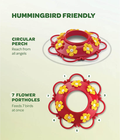 20 oz Red Glass Hummingbird Feeder [2 Pack] with Built-in Ant Guard