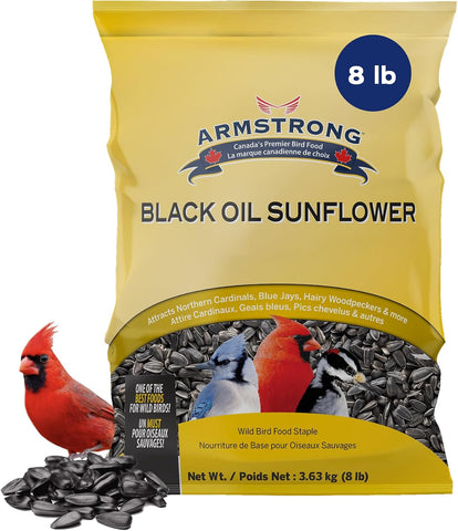 Armstrong Wild Bird Food Black Oil Sunflower Bird Seed, 8 Pounds - for Northern Cardinals, Blue Jays and Hairy Woodpeckers - Ideal for Outside Feeders