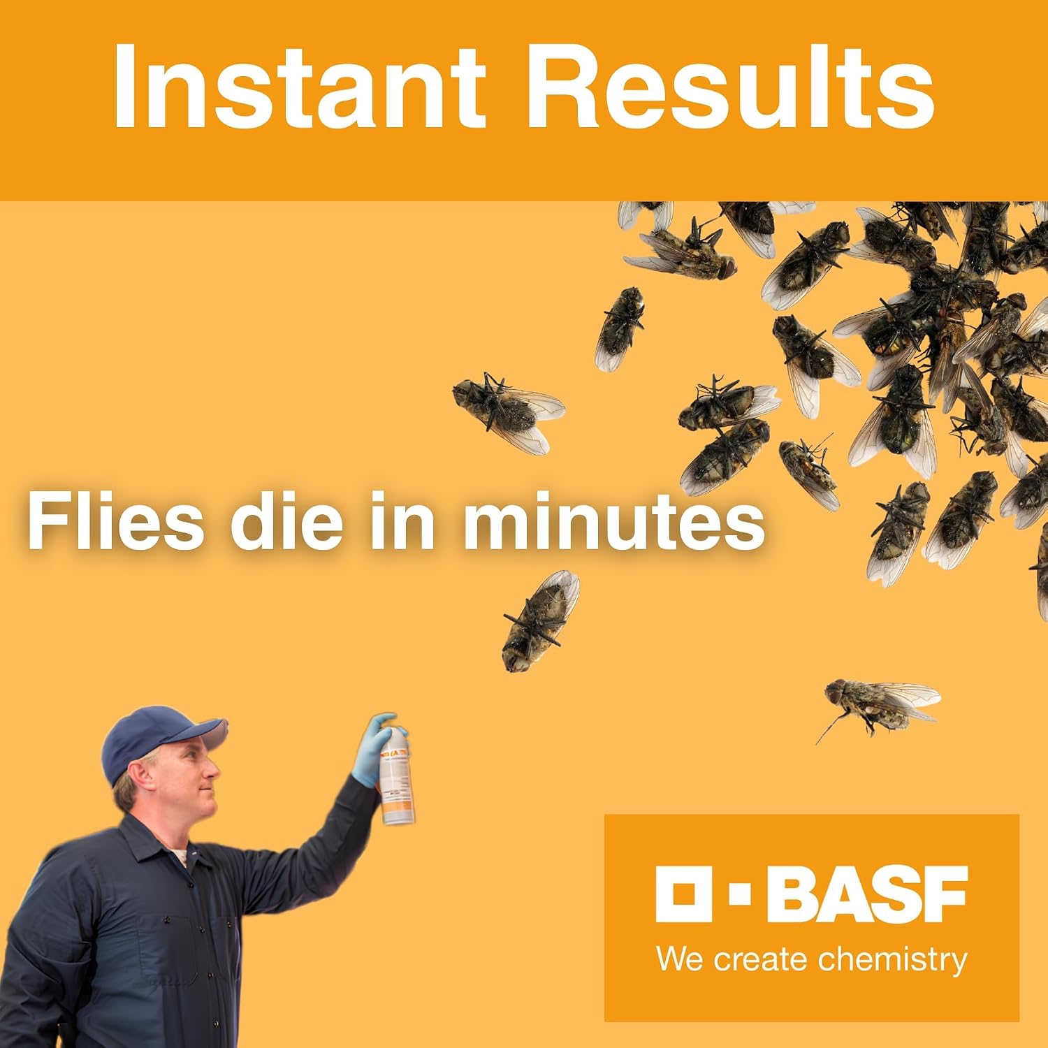 BASF PT Alpine Fly Bait, Fast Acting and Long Lasting Up to 30 Days, Ready to Use Pest Control Spray for House Flies, Fruit Flies, 16 Ounce