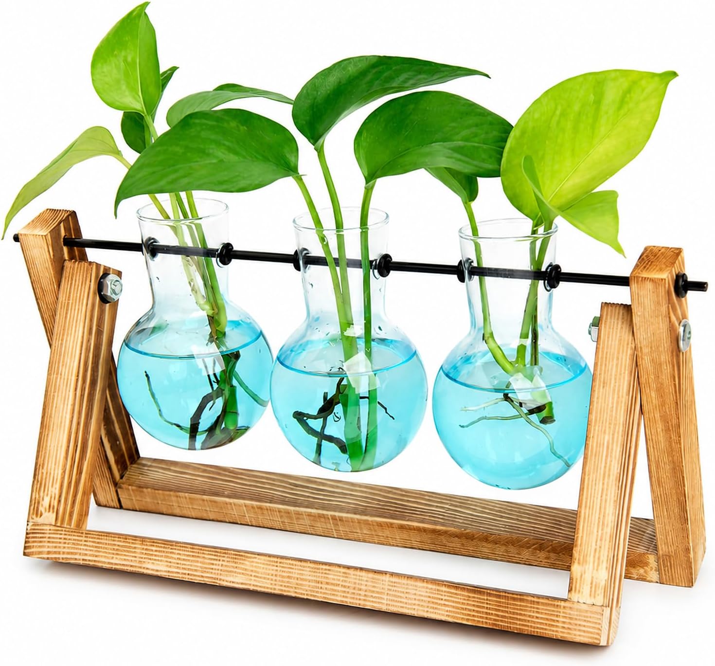 XXXFLOWER Plant Terrarium Kit with Wooden Stand 3 Gradient Blue Bulb Vases
