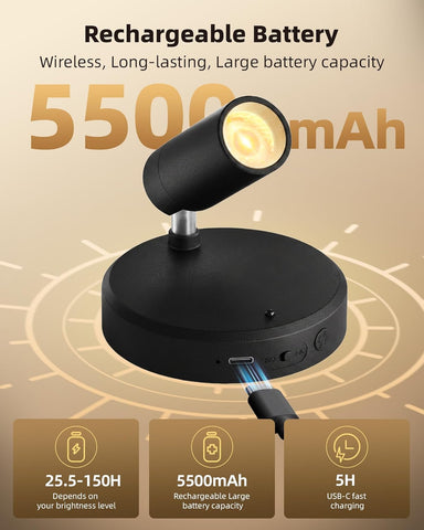 EZVALO Indoor Spotlights, Picture Lights for Wall, Uplights