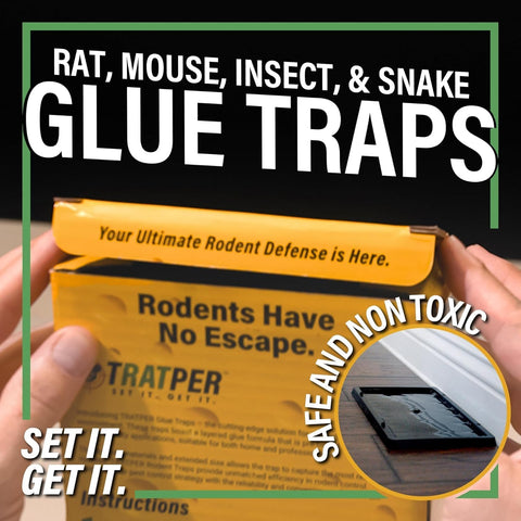 TRATPER Glue Traps for Mice,Rat,Mouse,Snake,Lizard,Insect. 20 Pack. Extra Strength,Pre-Baited Adhesive.Heavy Duty Plastic Tray.Non-Toxic,Chemical-Free Pest Control for Home. 20Pack