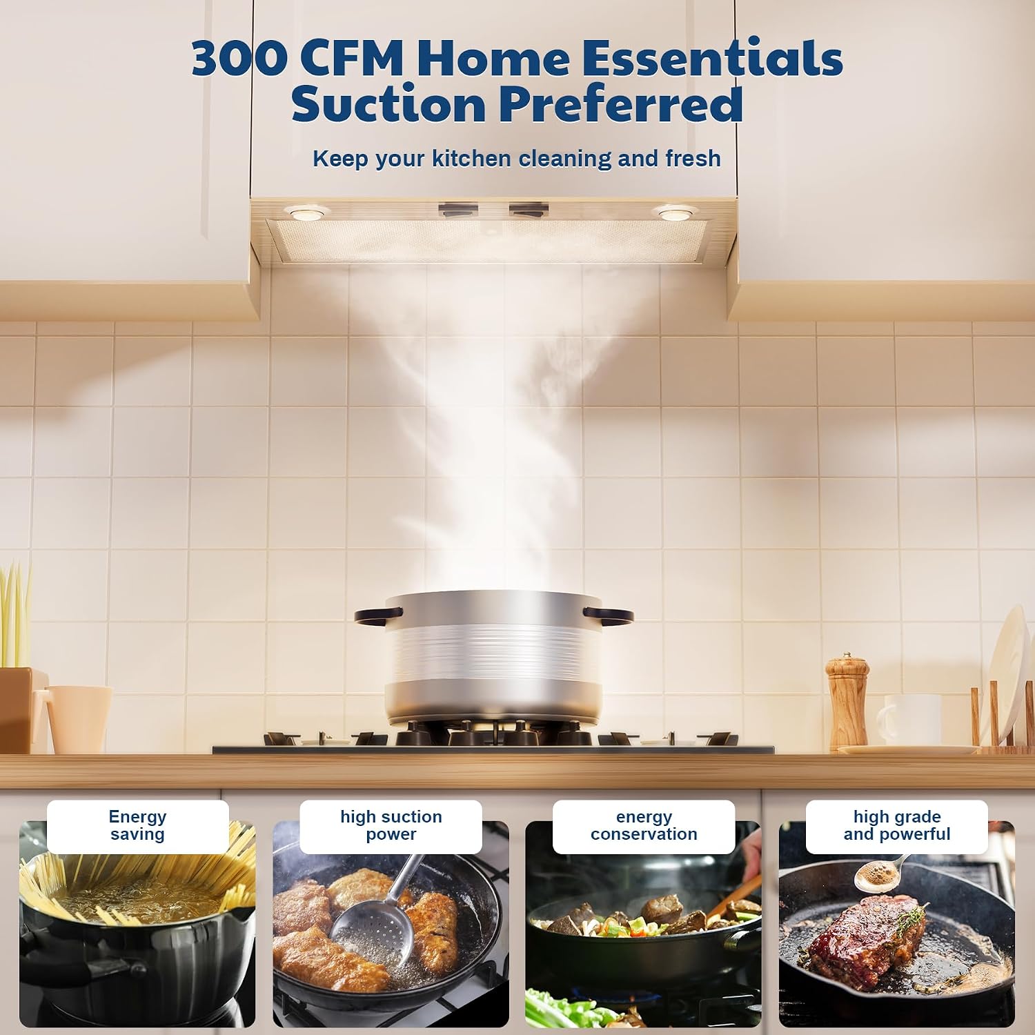 PM300SS Range Hood Insert For Under-Cabinet