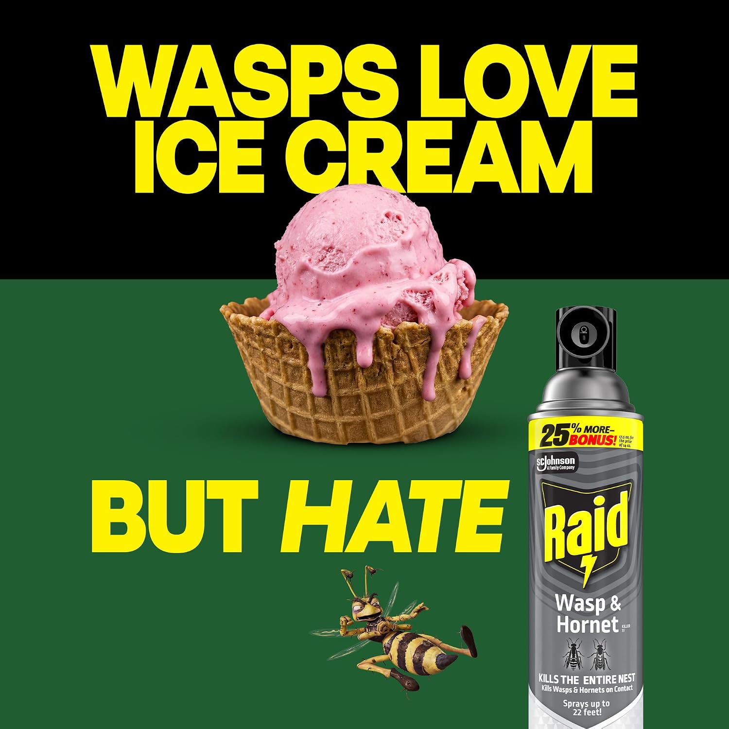 Raid Wasp and Hornet Killer, 17.5 OZ (Pack - 1)
