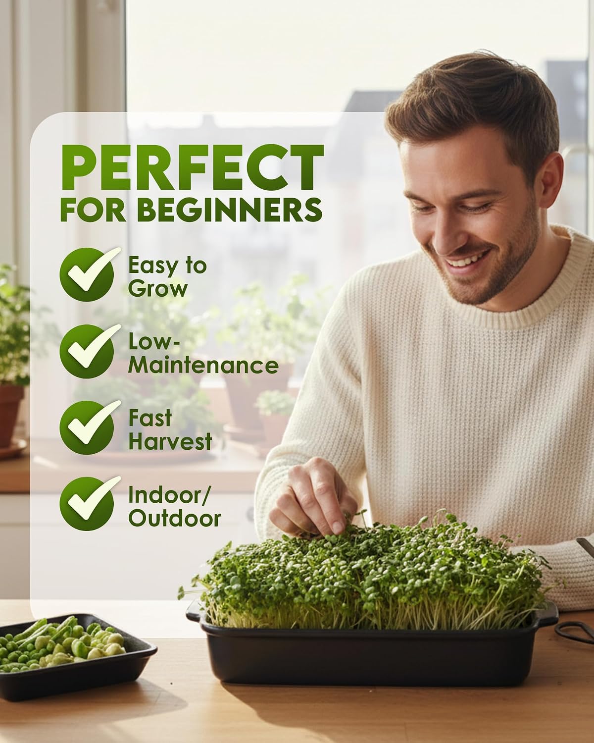 Nature Jim's Sprout Organic Broccoli Seeds – Non-GMO, Sprouting Seeds - 8oz