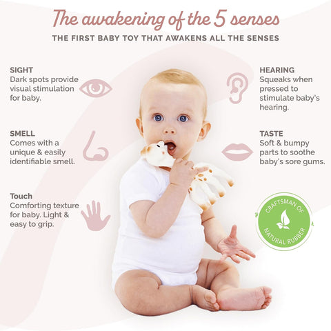 Sophie la girafe Original Teether for Babies, Natural Rubber, Soothes Sore Gums, Easy to Grip, Sensory Development, Classic Toy Since 1961