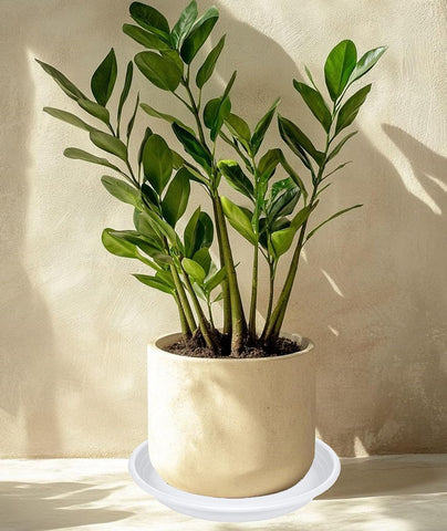 4 Pack of 16 inch Plant Saucer, Large Plant Tray, Heavy Sturdy Plant Drainage Tray for Indoors, Bird Bath Bowls, Sturdy 18 inch Plastic Pot Tray for Planter (White)