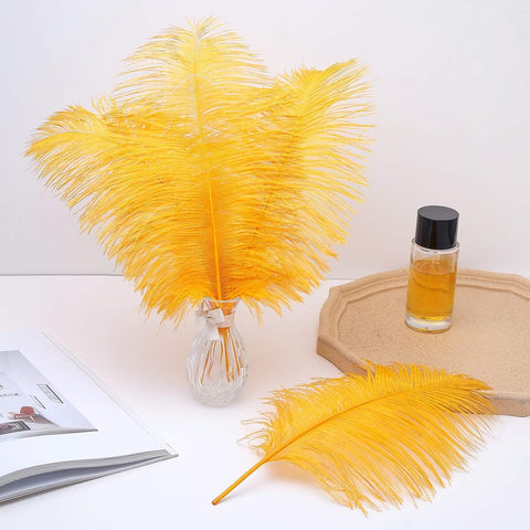 Ballinger Big Gold Ostrich Feathers for Crafts,24Pcs,8-10inch