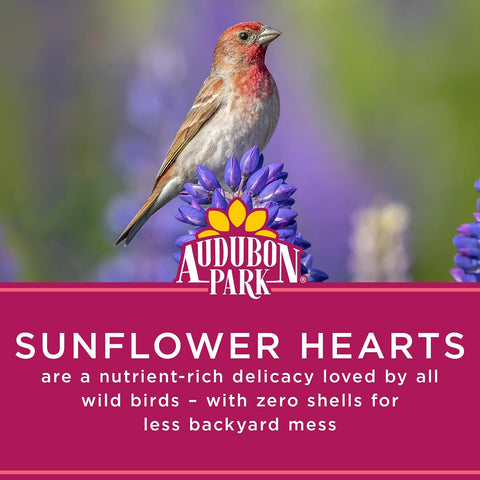Audubon Park Sunflower Hearts Wild Bird Seed, 15-lb.