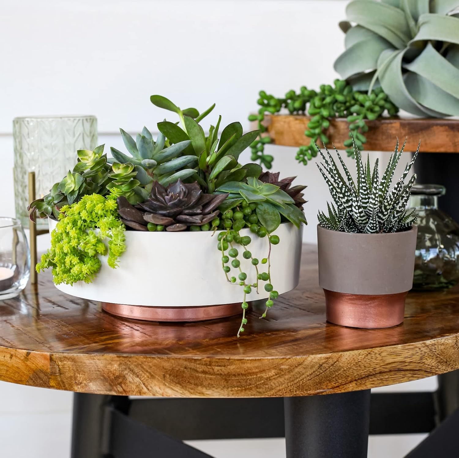 The HC Companies 8 Inch Round Plastic Succulent Capri Bowl Decorative Indoor Flower Succulent Planter Pot with Drain Plug Hole, Vanilla Bisque