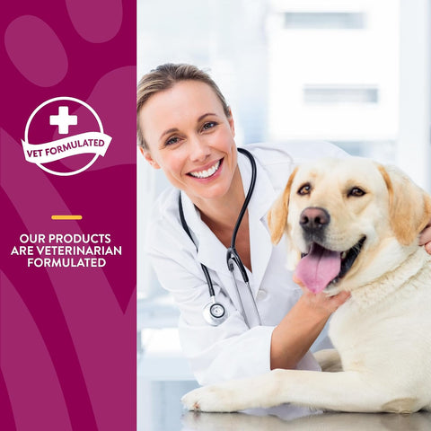 NaturVet ArthriSoothe-GOLD Level 3, MSM and Glucosamine for Dogs and Cats, Advanced Joint Care Support Supplement with Chondroitin and Omega 3, Clinically Tested, Chewable Tablets, Made in the USA, 120 Count