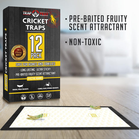 Trap a Pest Extra Large Cricket Traps - Fruity Scent - 12 Pack