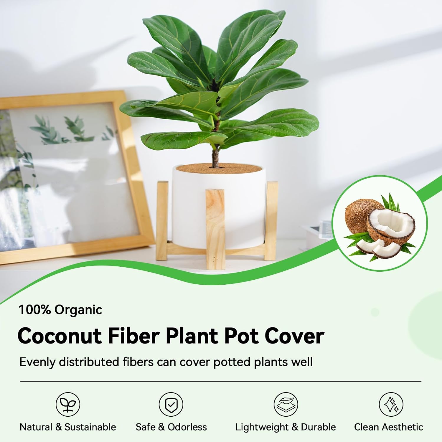 ZeeDix 11.8 Inch Coconut Fiber Tree Ring Mulch Mat, 3 Pack Tree Mulch Ring