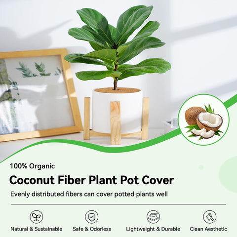 ZeeDix 11.8 Inch Coconut Fiber Tree Ring Mulch Mat, 3 Pack Tree Mulch Ring