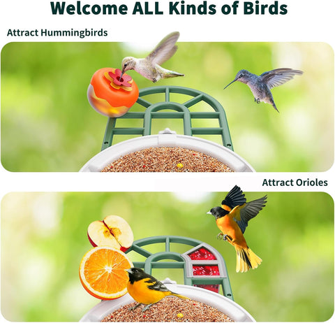 HARYMOR Smart Bird Feeder with Camera - AI Identify Birds Species, Solar Powered Bird House with Cam, 2L Large Capacity, 2K HD Video Live Stream, Instant Arrival Alerts - Green