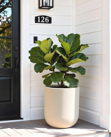 homenote 13 Inch Large Plastic Planter with Drainage for Houseplants