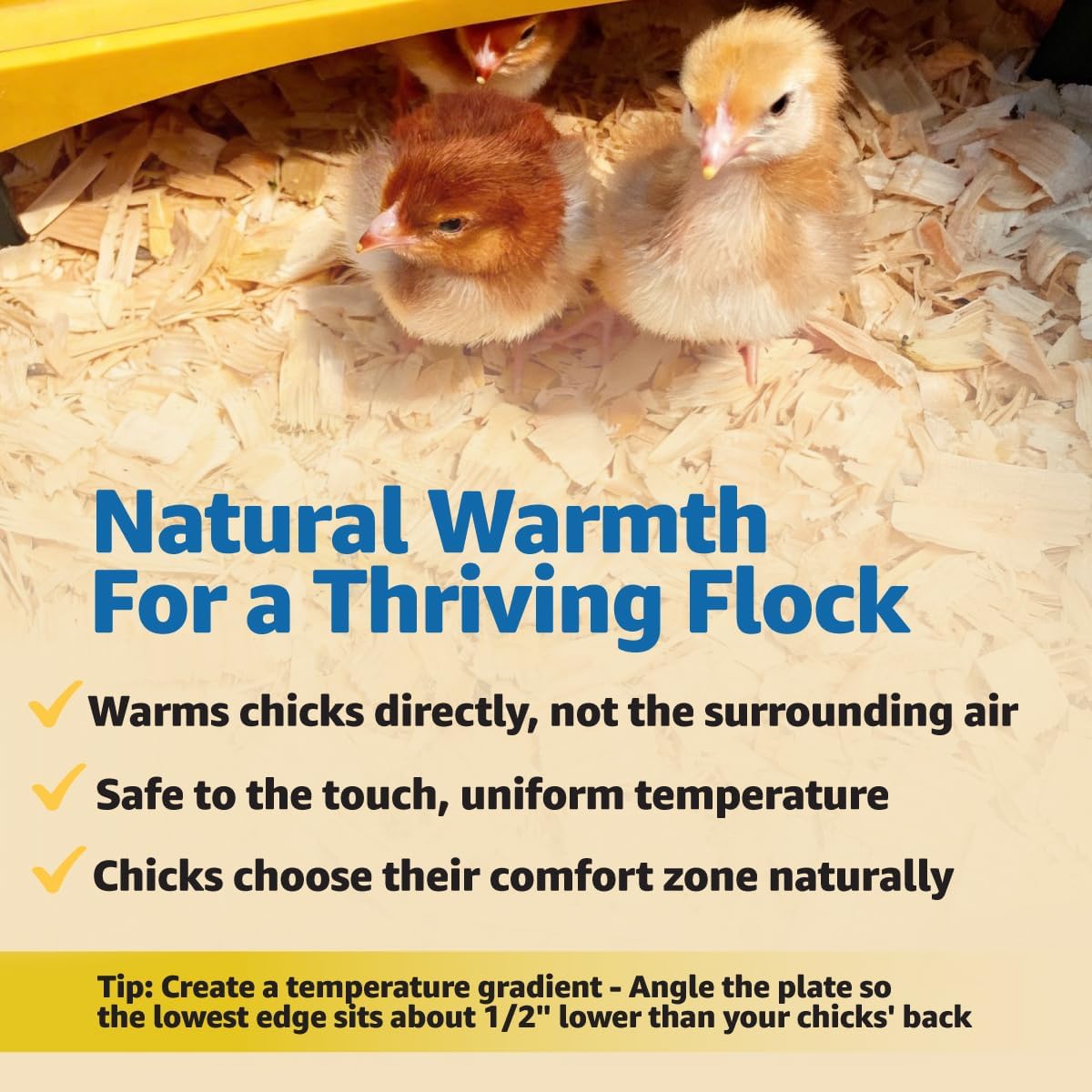 Brinsea Ecoglow Safety 600 Chick or Duckling Brooder, Up to 20 Chicks