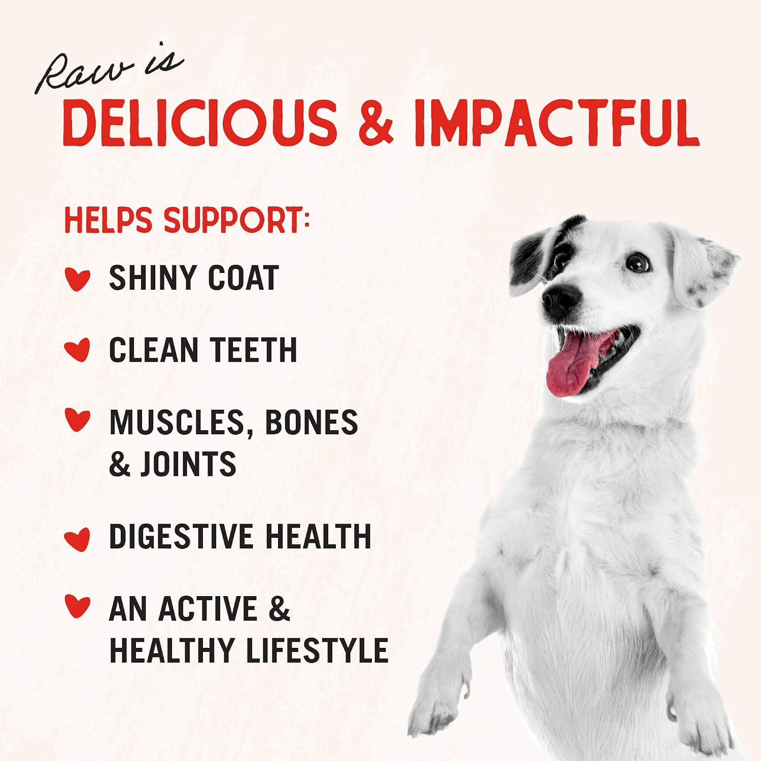 Stella & Chewy's Freeze-Dried Raw Lamb Heart Dog Treats - Single Ingredient, No Additives - Premium Training Treats - Perfect for Picky Eaters - 3oz Bag (Pack of 8)