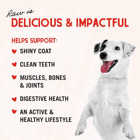 Stella & Chewy's Freeze-Dried Raw Lamb Heart Dog Treats - Single Ingredient, No Additives - Premium Training Treats - Perfect for Picky Eaters - 3oz Bag (Pack of 8)