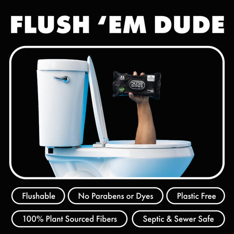 DUDE Wipes - Flushable Wipes for Adults - 6 Pack, 288 Wipes - Odor Destroyer XL Adult Wet Wipes - Deodorizing with Clean Scent - Up to 24 Hours of Odor-Destroying Technology