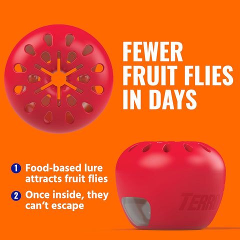 TERRO Fruit Fly Trap 4-Pack, 180 Day Lure Supply, Food-Based Lure