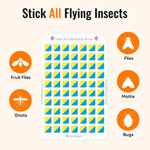 Mosalogic Sticky Card Refills Replacement Glue Cards,Fly Insect Trap 10pack