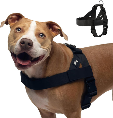 Dog Friendly Co. Dog Harness for Large Sized Dogs (Black, Extra Large)