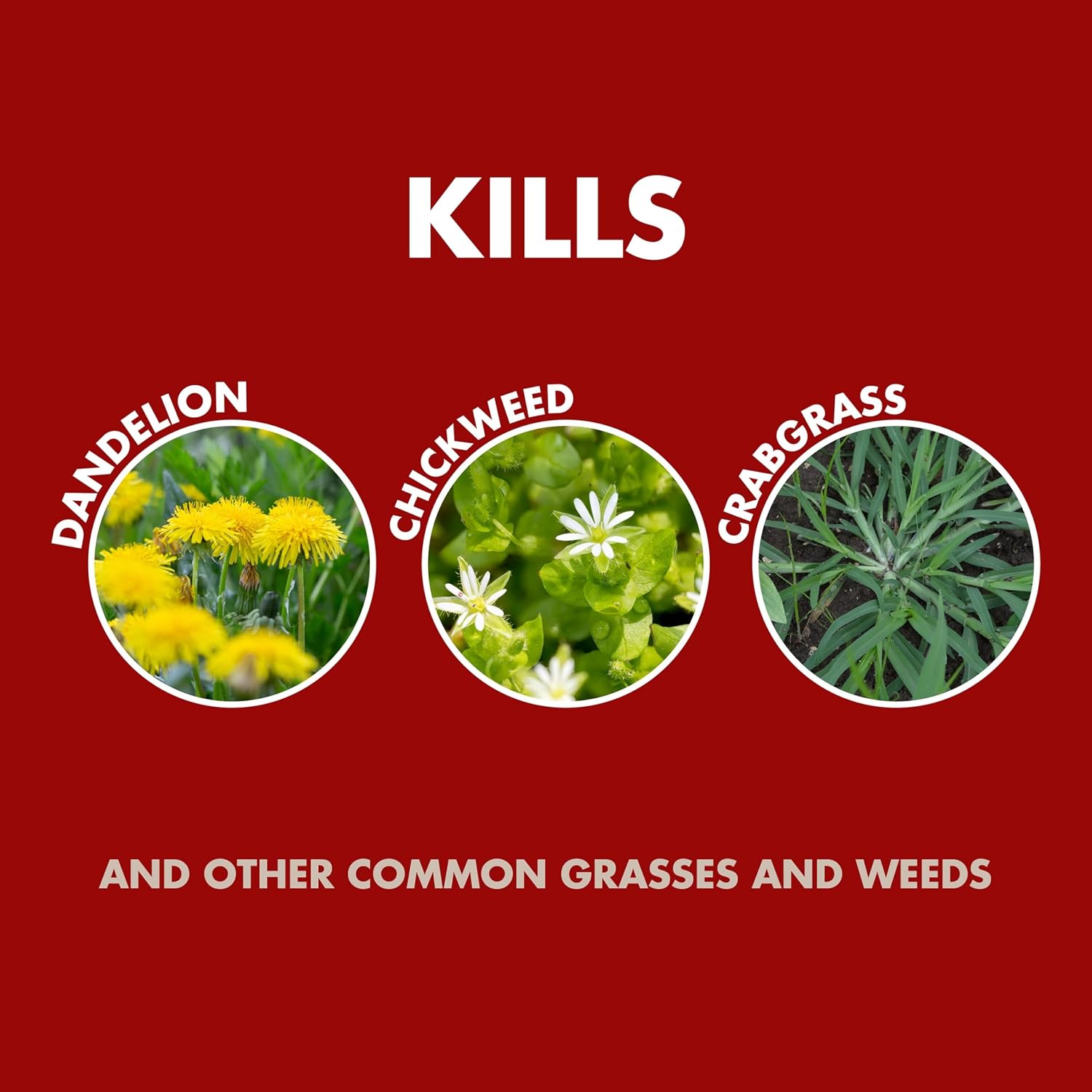 Spectracide Weed & Grass Killer Concentrate for Driveways & Walkways, 40 Oz