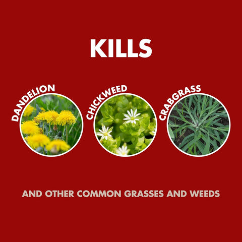 Spectracide Weed & Grass Killer Concentrate for Driveways & Walkways, 40 Oz