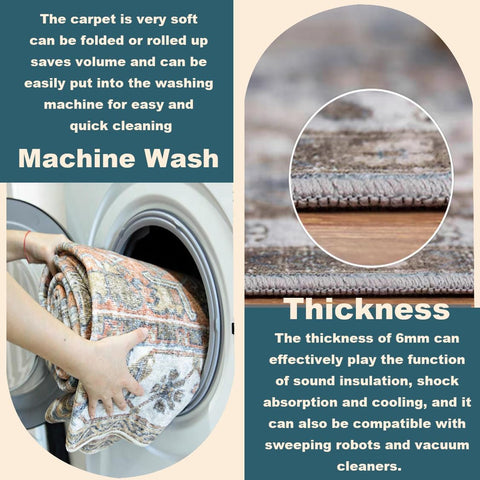 CHAMPLANT 6'x9' Washable Vintage Area Rug Boho Chic Medallion Distressed Design Non-Shedding Easy Care Ideal for High Traffic Areas in Living Room Bedroom Kitchen Office Large Carpet