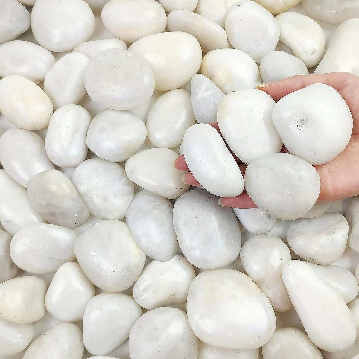 FANTIAN 10 lbs Large River Rocks for Landscaping, 2-3 Inch Polished White Pebbles for Plants, Decorative White Stones for Planters Vase Aquarium and Outdoor Garden Rocks