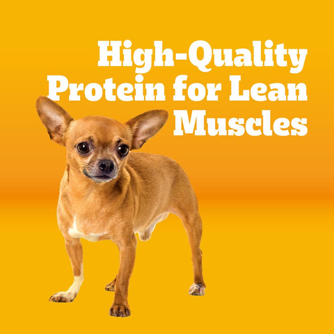 Pedigree Complete Nutrition Adult Small Dog Dry Dog Food, Roasted Chicken, Rice & Vegetable Flavor, 3.5 lb. Bag