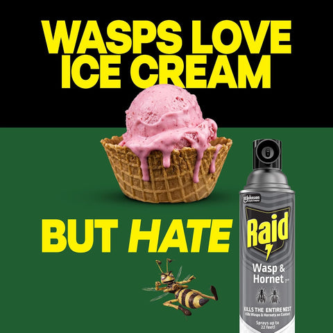Raid Wasp & Hornet Killer Bug Spray, Kills Entire Nest, 14 oz, 2 Count
