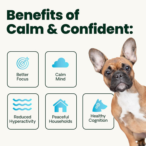 VetriScience Calm & Confident Chews for Dogs, Chicken, 120 Count