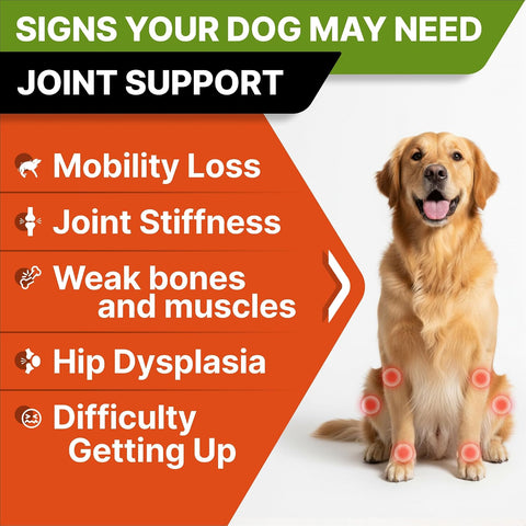 Advanced Glucosamine for Dogs, Chondroitin & MSM Hip Joint Supplement Chews