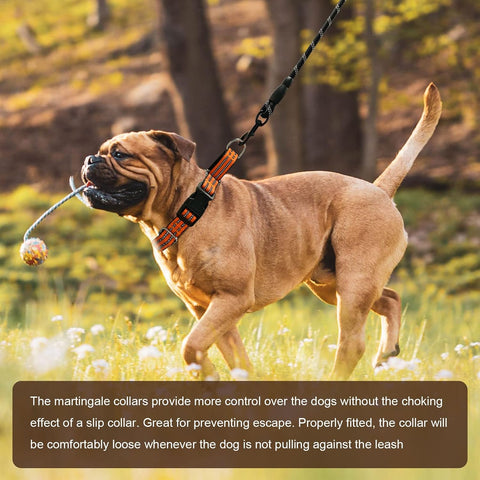Martingale Collar for Dogs,Reflective Escape Proof,Orange,L