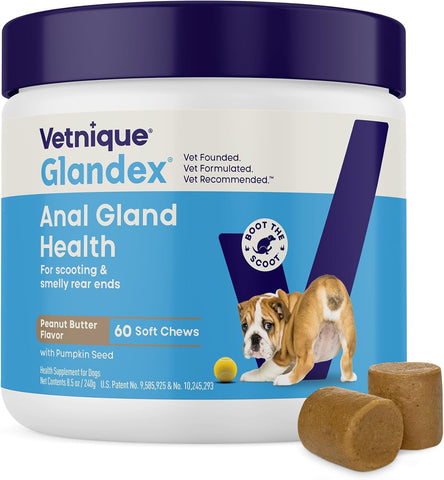 Vetnique Glandex for Dogs Anal Gland Chews 60ct Pumpkin + Digestive Enzymes