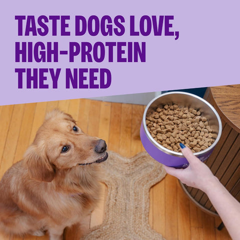 Wellness CORE Adult Dry Dog Food, Wholesome Grain Kibble, Natural, High Protein, Chicken Free, Whitefish and Herring Recipe, 22 lb Bag