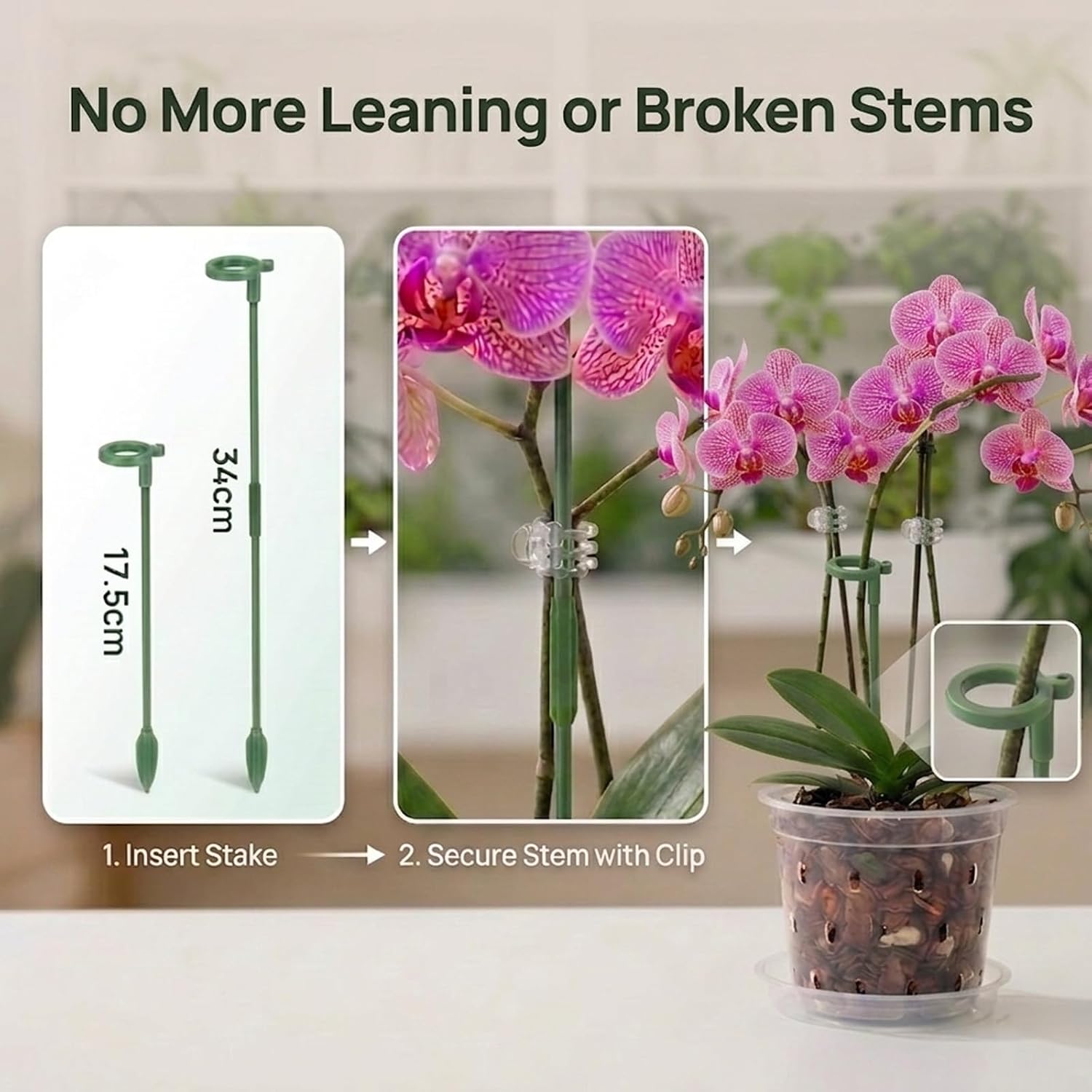 3/4/5/6 Inch Orchid Pot, 12 Pack Clear Orchid Pots with Holes, Saucer and Plant Stakes for Repotting, Plastic Plant Pot for Indoor & Outdoor Plants