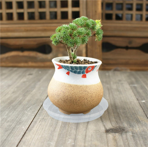 OVZILKI Plant Saucer 2 Pack of 8 inch, Clear Plastic Flower Plant Pot Saucer, Heavy Duty Plant Drip Trays Saucers for Indoor, Plant Water Tray for Planters