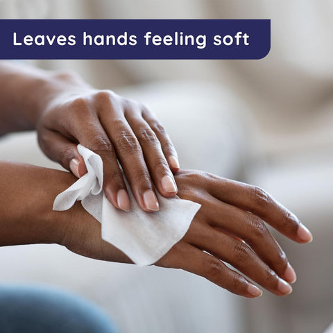 Wet Ones Antibacterial Hand Wipes, Fresh Scent, Packaging May Vary, White, 40 Count