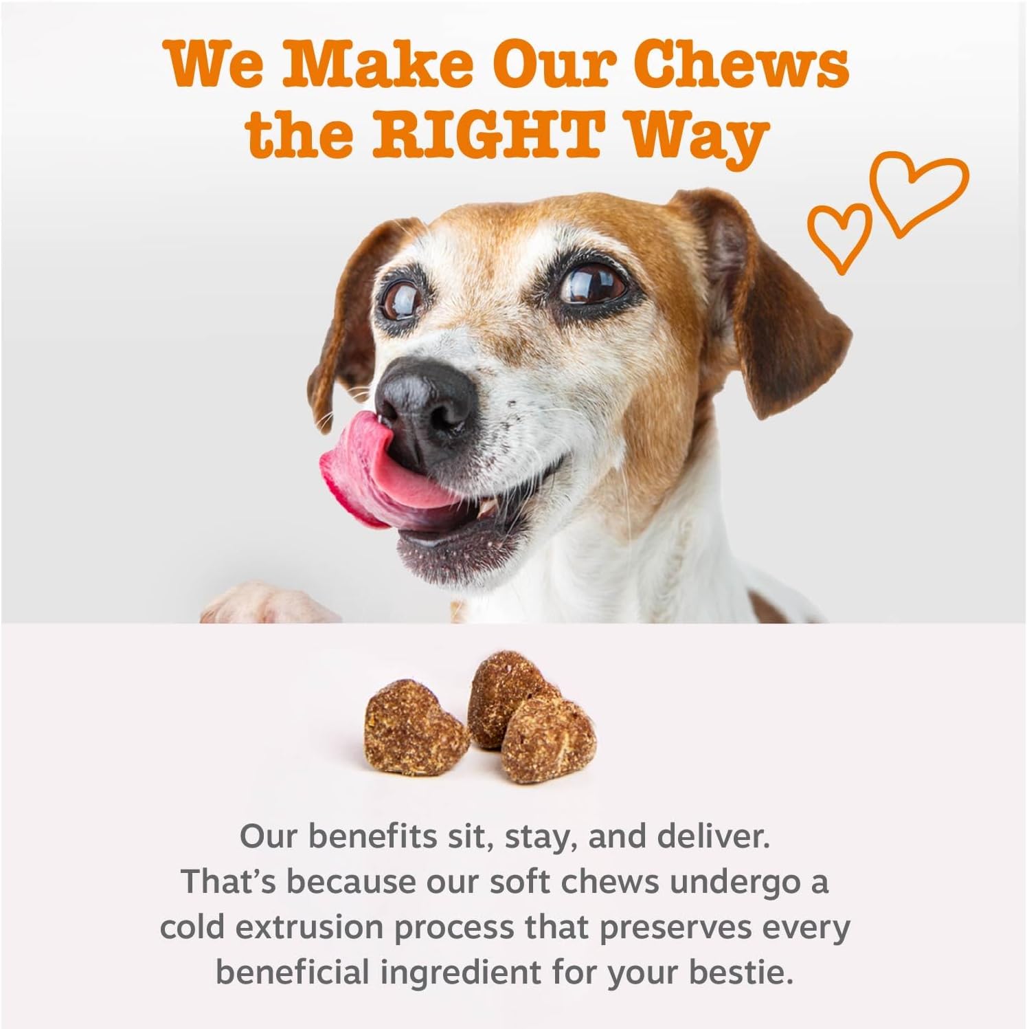Zesty Paws Probiotics for Dogs - Gut Health for Dogs, Pumpkin, 90 Ct