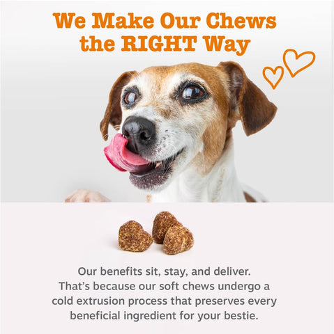 Zesty Paws Probiotics for Dogs - Gut Health for Dogs, Pumpkin, 90 Ct