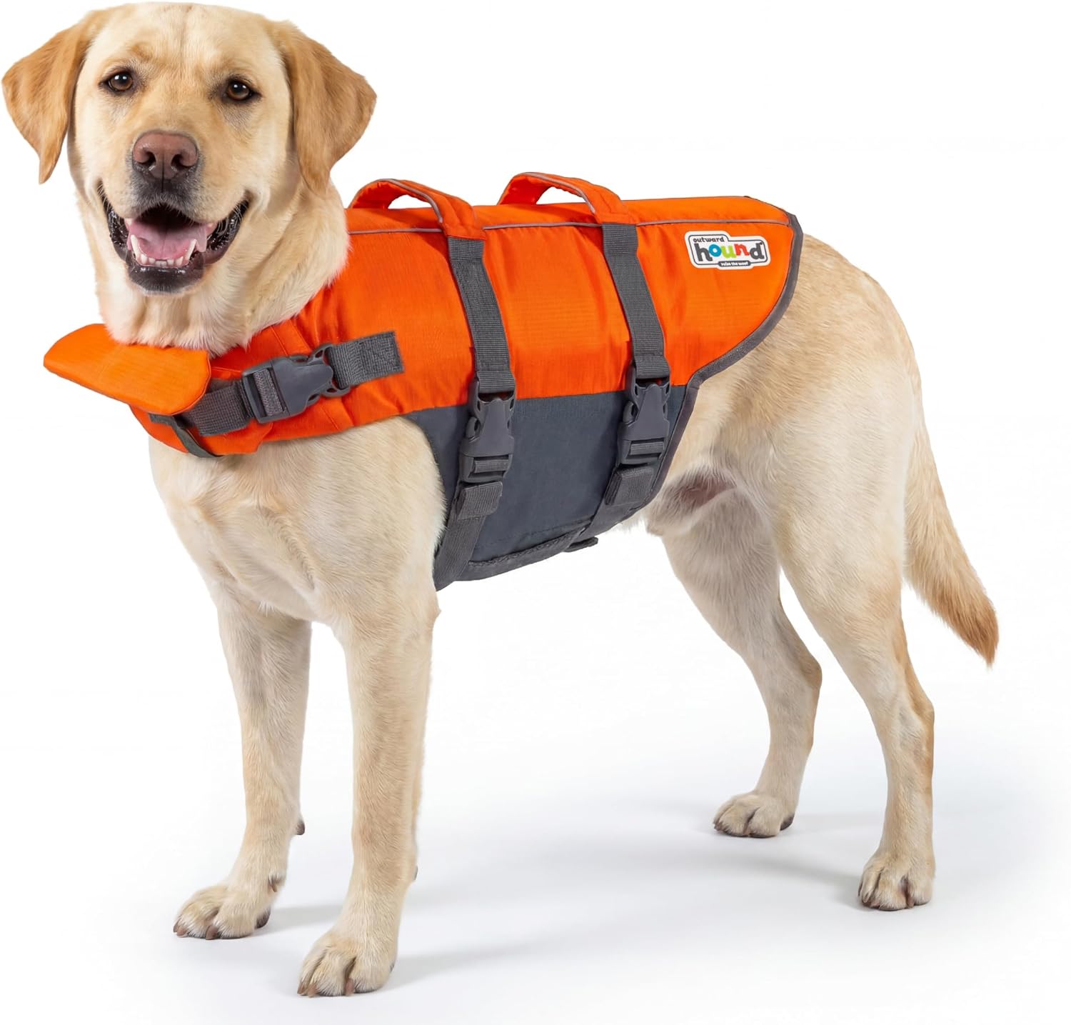 Outward Hound Granby Splash Dog Life Jacket, Life Vest, Orange, Large