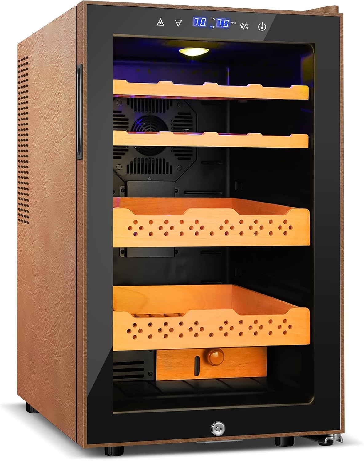 Electric Cooler Cabinet 70L, 490 Counts Capacity, Gift for Men
