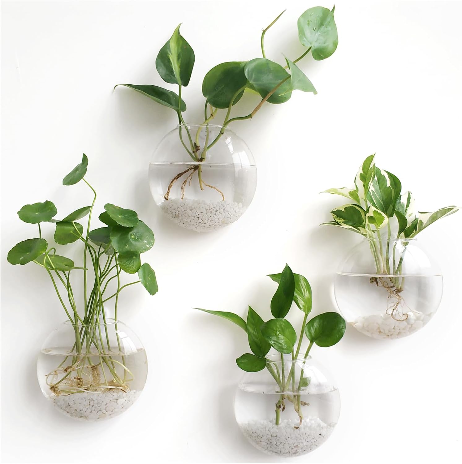 Mkono Wall Propagation Planters, 4 Pack Oblate Hanging Plant Holder Vase