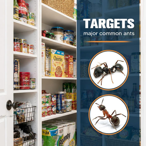 Ant Away Repellent Indoor Use, Keep Ants Away for Outdoor, Helps Keep Sugar Ant & Black Ants Away for Kitchen, Cabinets & Entry Points, Kid & Pet Safe-6P