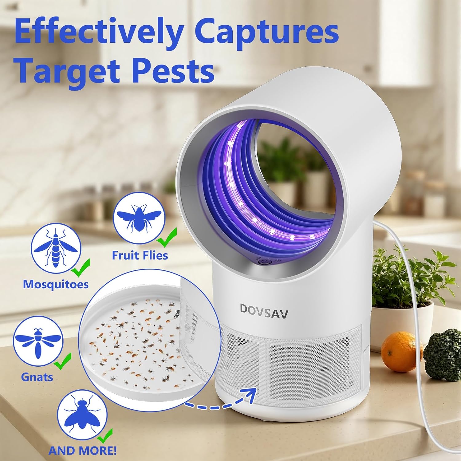 Fruit Fly Traps for Indoors, White Gnat Trap Indoor with Suction & Timer