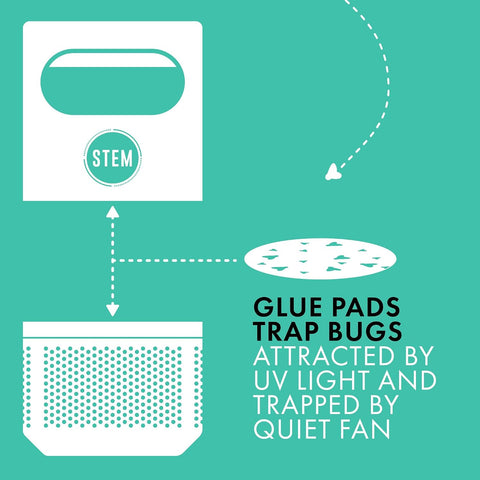 STEM Flying Insect Fan Trap Glue Reﬁll Pads, 10 Count
