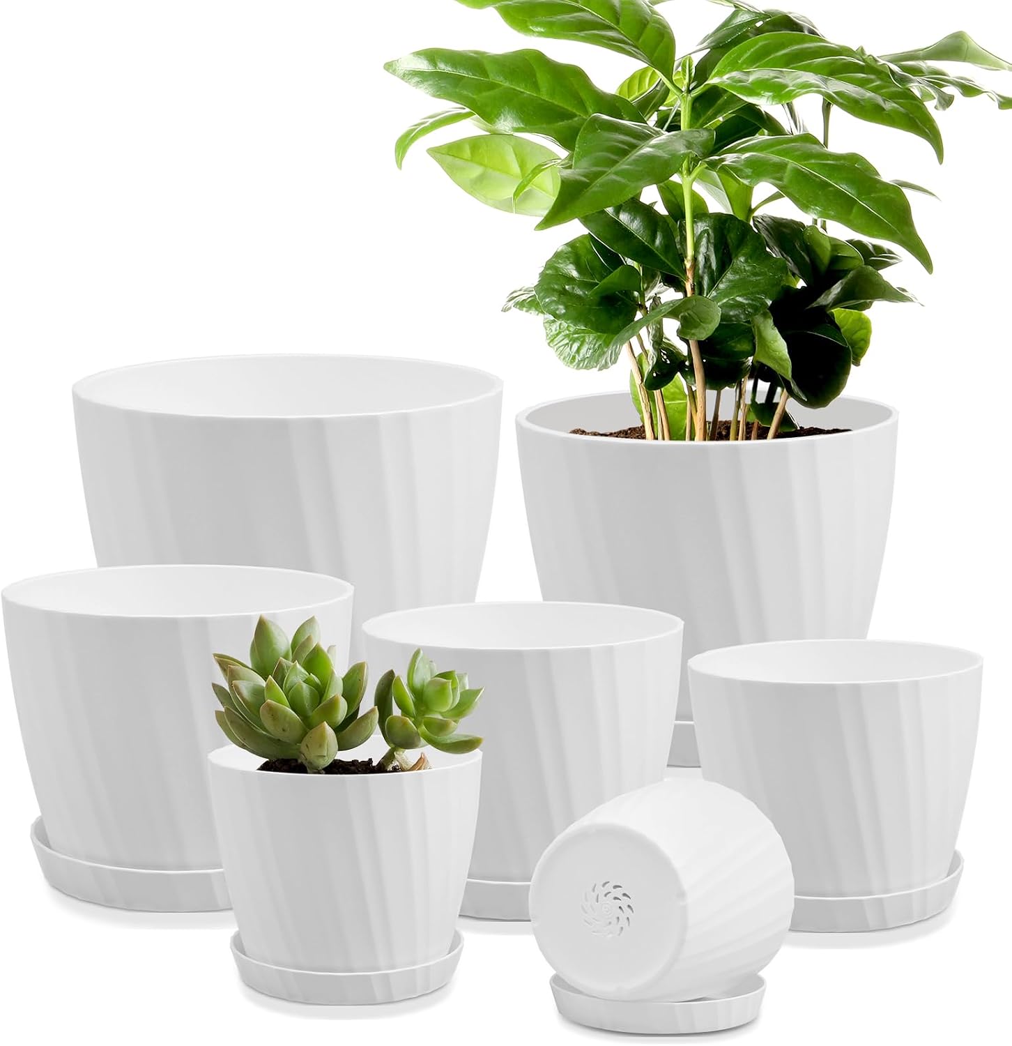 YNNICO 7.5/7/6.5/6/5.5/4.5/3.5 Inches Plant Pots with Drainage and Saucers